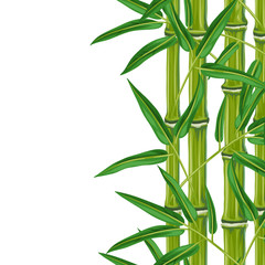 Fototapeta na wymiar Seamless border with bamboo plants and leaves. Background made without clipping mask. Easy to use for backdrop, textile, wrapping paper