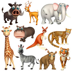 wild animal collection
