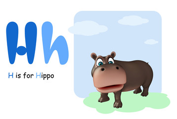 Hippo with alphabet