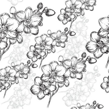 seamless pattern with orchid