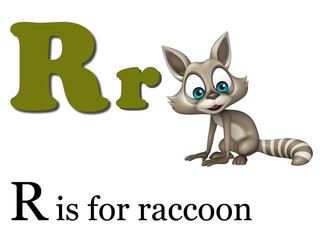 Raccoon with alphabet
