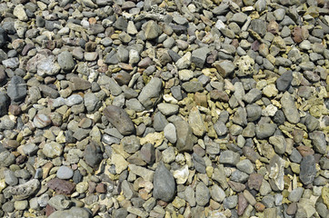 Stone on the beach in midday (Selective focus)
