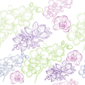 orchid seamless pattern
