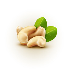 Vector group of cashew nuts isolated on white background