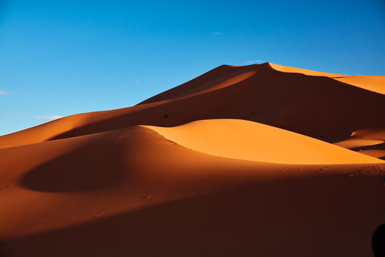 Fototapeta Sand dunes in the Sahara Desert, Merzouga, Morocco