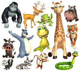 wild animal collection