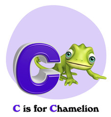 Chamelion wild animal with alphabate