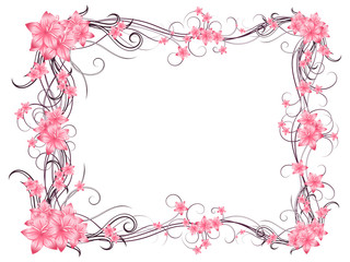 Curly pattern of flowers and petals on a white background