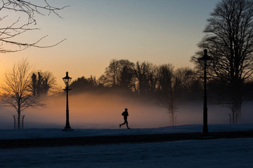 Fototapeta premium A runner in the misty Phoenix park