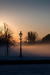 A lamp in the misty Phoenix park