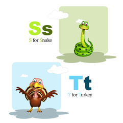 Snake and Tiger with Alphabate