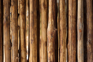 wood door texture pattern