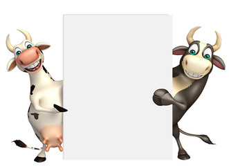 Bull and Caw Collection with white board