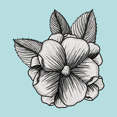flower drawing design 