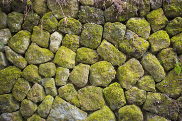 green moss on stone