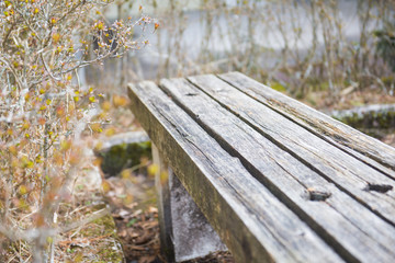 Fototapeta premium wooden bench in the garden