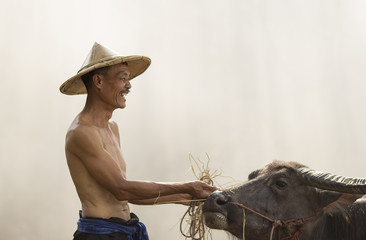 Thai farmer poses with his buffalo