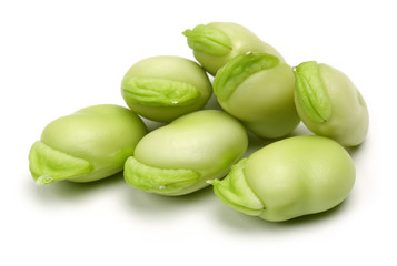 Peeled Broad Beans