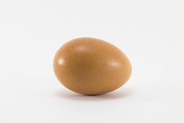 isolate egg