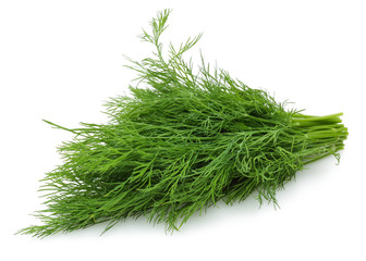 A bunch of fresh dill 