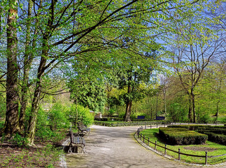 Peaceful park in the city