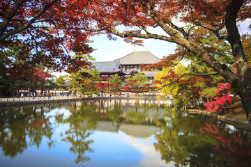 Fall season of Nara with nice maple color