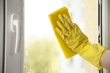 Fenster putzen