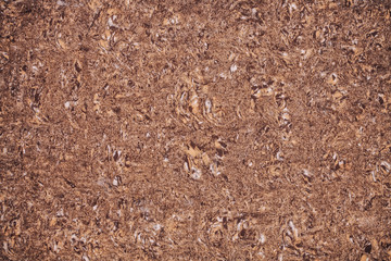 Texture of sandstone