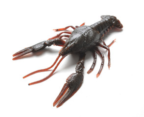 Fishing silicone bait