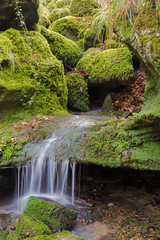 Fototapeta premium Wodospad kaskadowy w Luksemburgu - Mullerthal