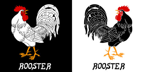 Fervent black and white roosters © Irbis-Nariel