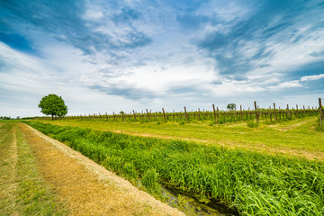 the agriculture fields of Emilia Romagna