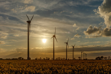 éoliennes au coucher du Soleil