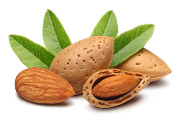 Almond