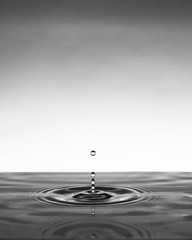 water drop. black& white