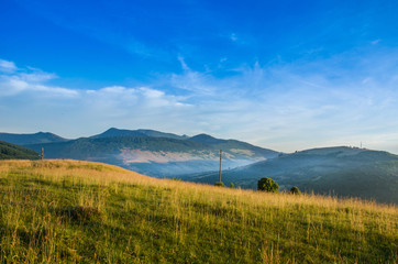mountain summer landscape. trees near meadow and forest on hills