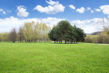 Spring landscape of grass and trees. Park landscape background for visualization project.
