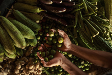 Légumes issus de la permaculture
