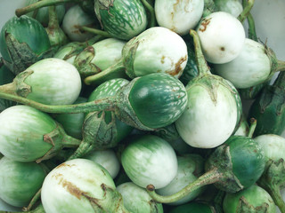 Fresh eggplant