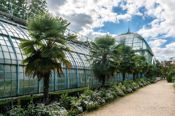 Fototapeta na wymiar Jardin des Serres d'Auteuil - botanical garden. Paris, France.