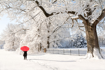 Red Umbrella Winter Walk - 108721320