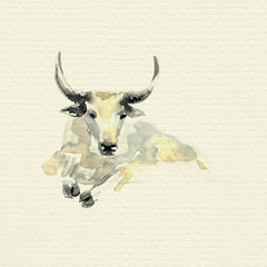 Himalayan Yak. Watercolor illustration.