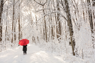 Red Umbrella Winter Walk