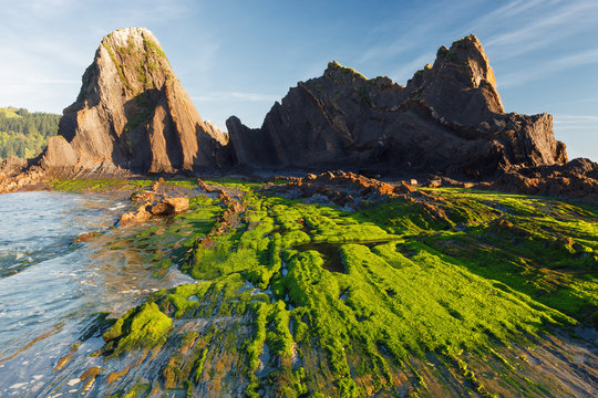 Flysch on the beach Saturraran