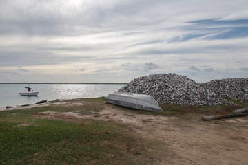 Shells caribbean sea coast tropical Bonaire island