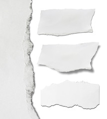 Ripped paper, Pieces of torn paper on plain background. Copy space