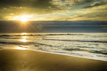 Obraz premium Camargue, alba sulla spiaggia.