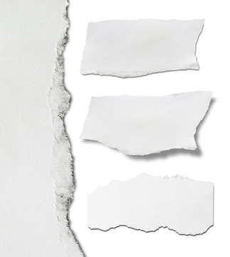 Ripped paper, Pieces of torn paper on plain background. Copy space