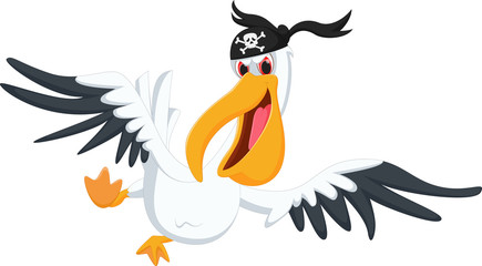 pelican pirate cartoon
