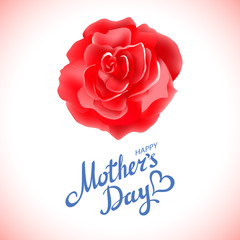 Happy Mothers Day Beautiful Blooming Red Rose Flowers on White Background. Greeting Card
